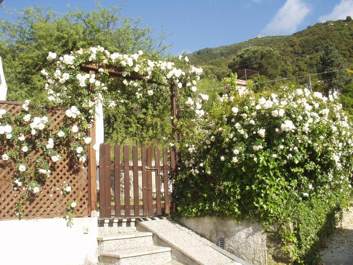 Villa Dei Limoni Sant'Andrea  Luaran gambar